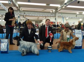 DSC00520 Milan Dog Show, best dog, best bitch