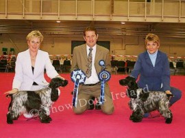Dublin Cocker Spaniel Show 06 Dublin Cocker Spaniel Show 06