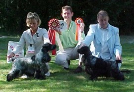 Cocker Club Open Show Sweden June 2002 Cocker Club Open Show Sweden June 2002