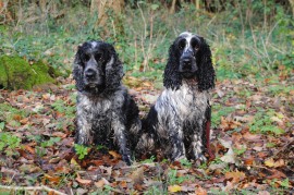 Manchela Tipping Point - Monty Hatch (on right)