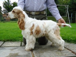 Paolo - photo at 5 months old