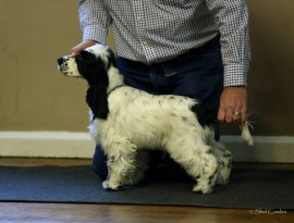 Manchela Summer Solstice - 21 weeks