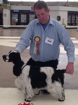 Best Puppy in Show