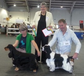Bitch CC (Left) - Canigou Brigh Tan Beautiful Dog CC & BOB (Right) - Manchela Tiger Tim JW Photo by Jo Kew
