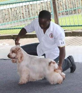 Buddy with handler Alan