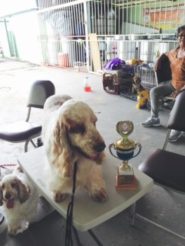 Manchela Star Struck (Buddy) with his trophy