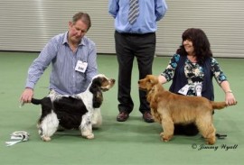 Zorro winning BPD