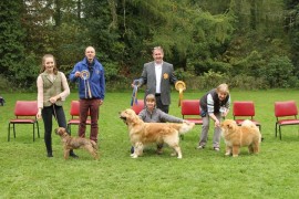 From left to right: Best in Show, Res Best in Show & Best Puppy in Show