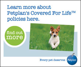 Petplan