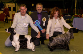Dog CC - Manchela Tiger Tim JW, Res CC - Sh Ch Lindridge Star Quest
