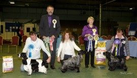 BIS - Manchela Tiger Tim JW, RBIS - Sh Ch Lindridge Star Quest & BOS - Sh Ch Annilann Miss Sing JW