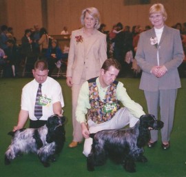 Manchela Blue Lagoon JW winning his first CC & BOB at Crufts 2002