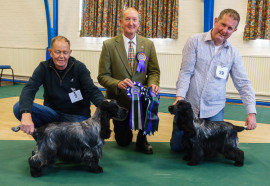 Best In Show (left) - Cassom Fast & Furious at Olibond Res Best in Show & Best Opp Sex - Gilcar Crystal Blue with Manchela